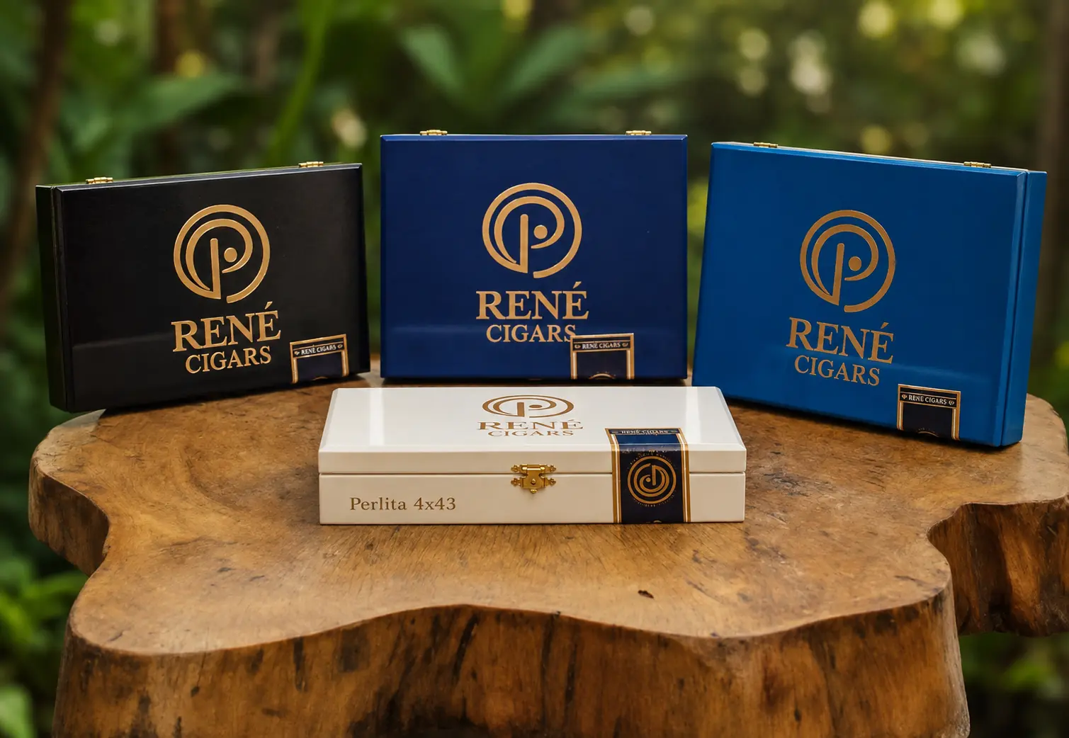 Colección de cajas René Cigars sobre madera natural
